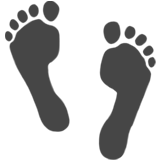 Footstep icon indicating a data footprint