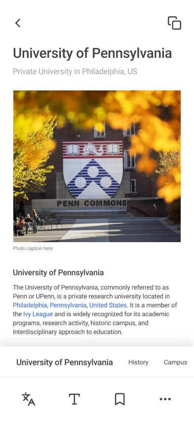 Article view — hero image and section strip