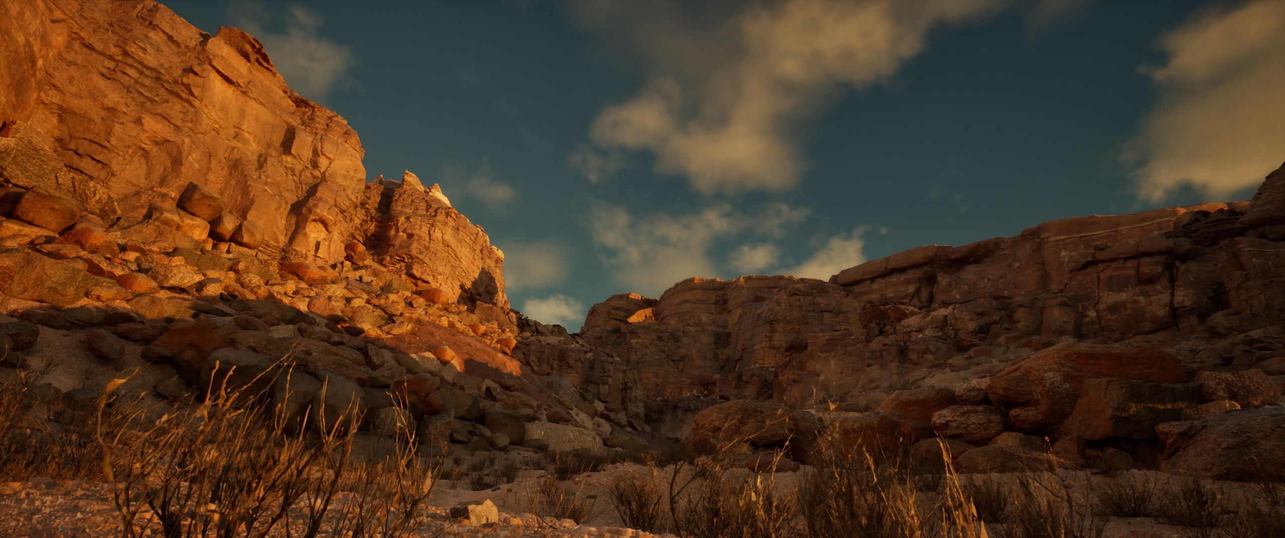 Canyon at blue hour