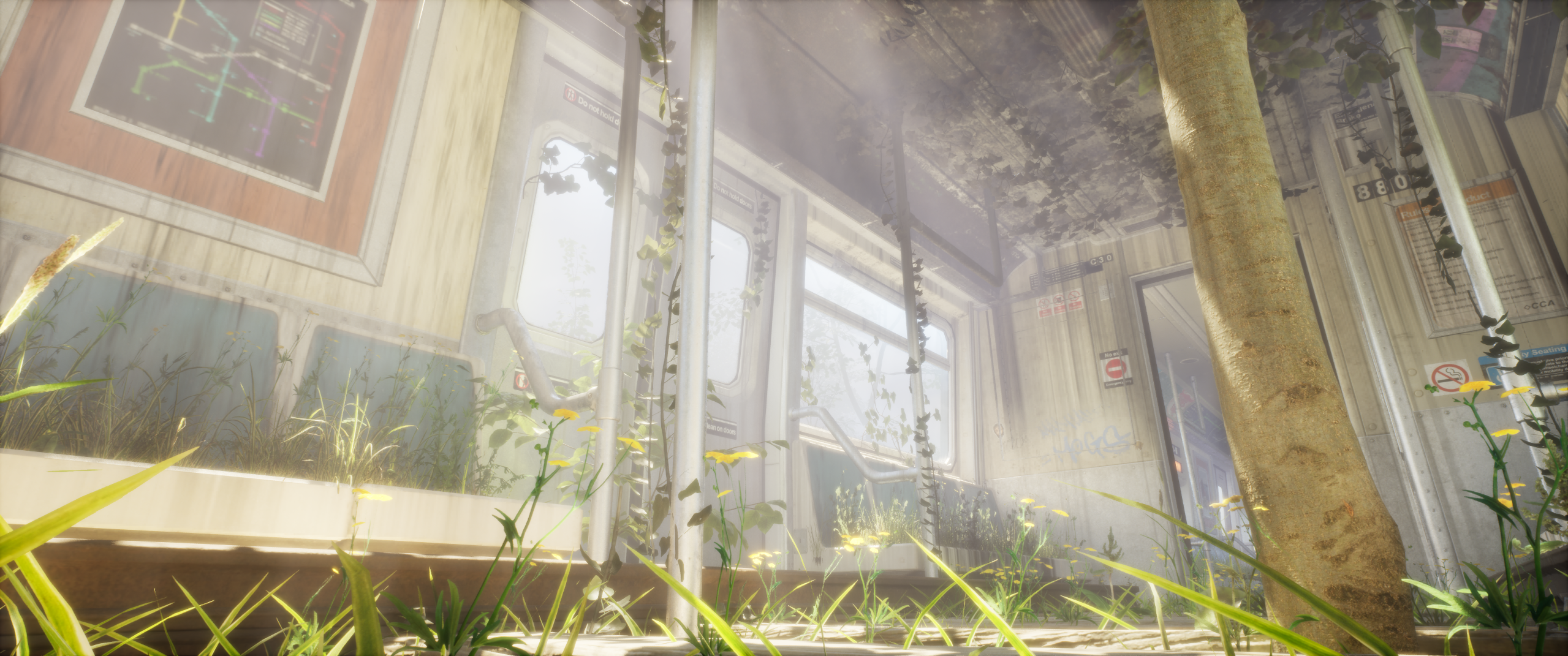 Low angle — Lumen light shafts through canopy